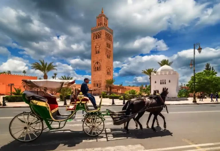 السياحة في مراكش.. أفضل 13 مكان جذب سياحي