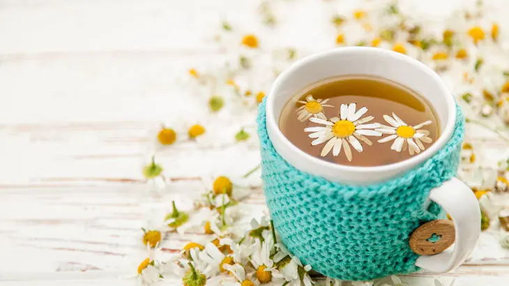 فوائد شاي الزهورات للرجال والنساء.. 8 منافع لاغنى عنها