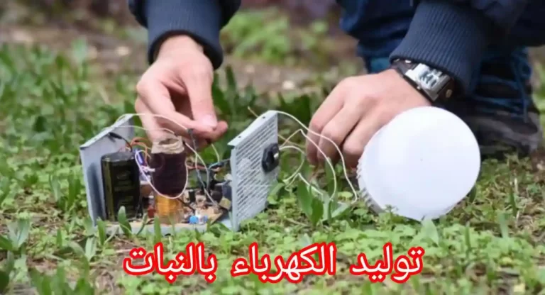 شاب عربي يبهر الملايين ويبتكر جهازاً فريداً يولد الكهرباء من النبات (فيديو)
